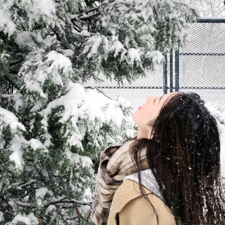 霸道作业爱上鹅