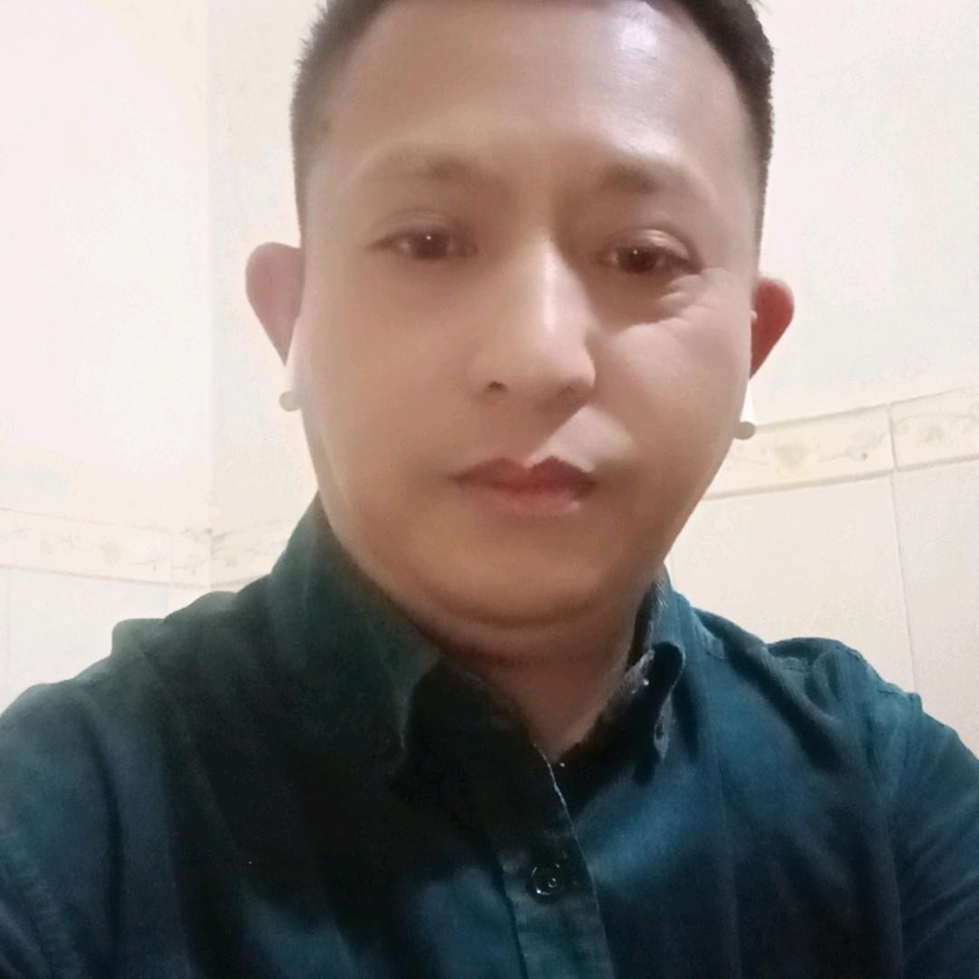 归来