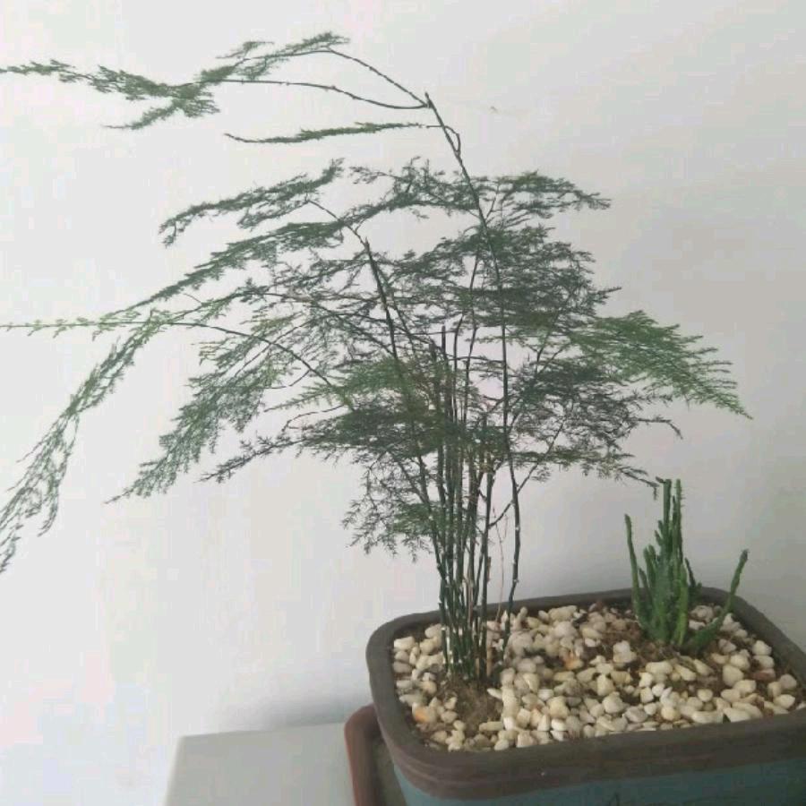 为目标去奋斗