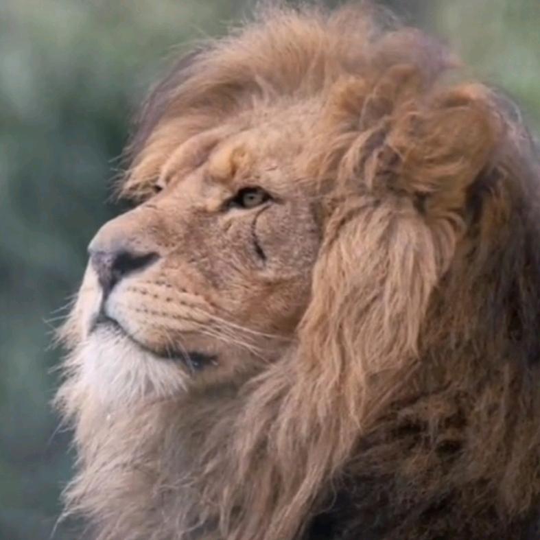 橙时🍋🍋🍋🍋🍋🍋