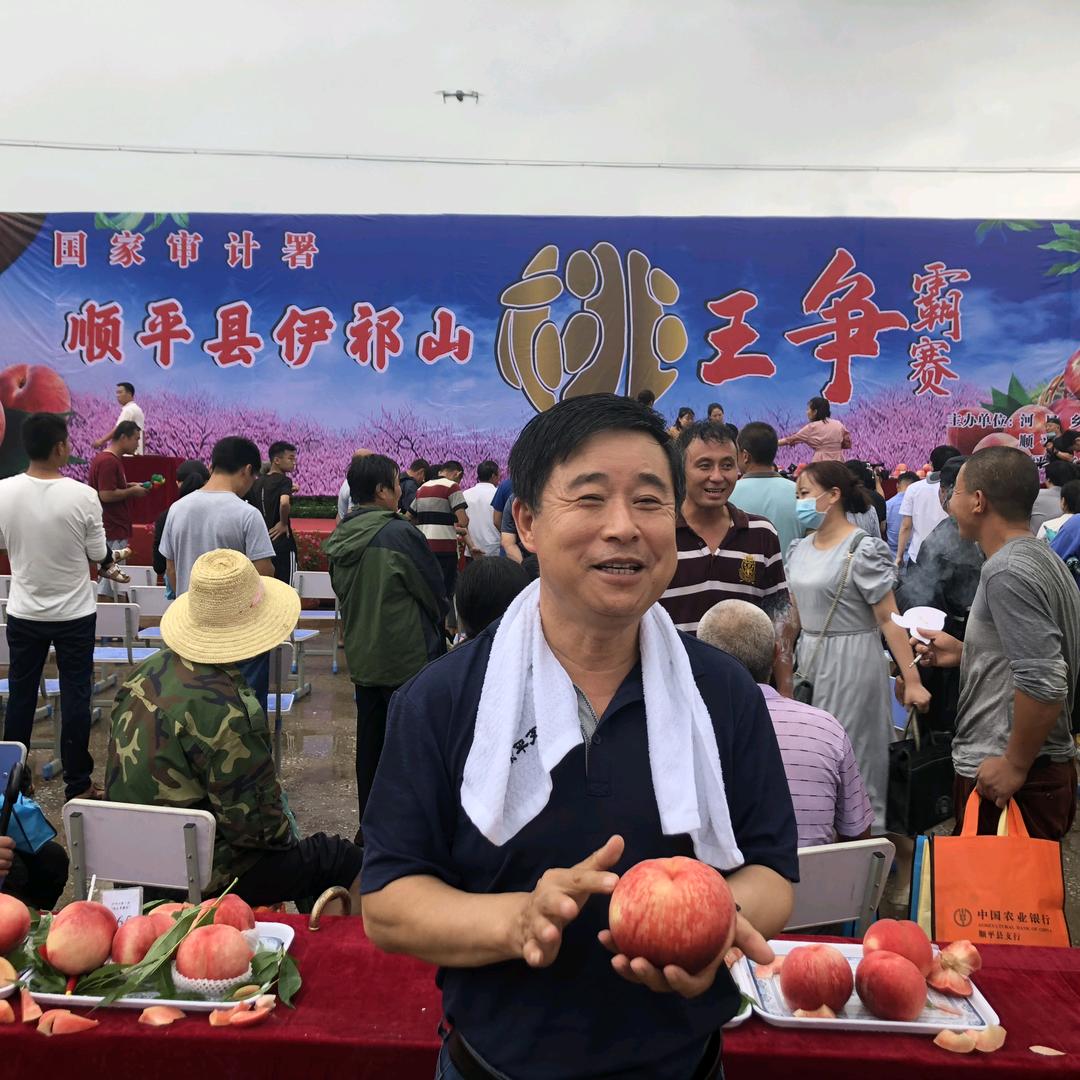 枭桃陈述