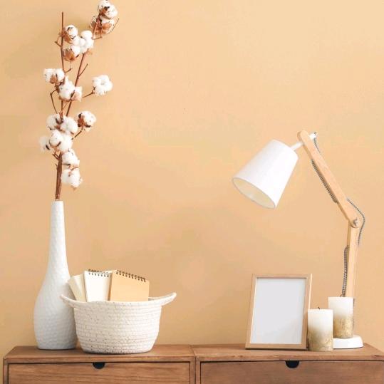 打田哥明天会更好