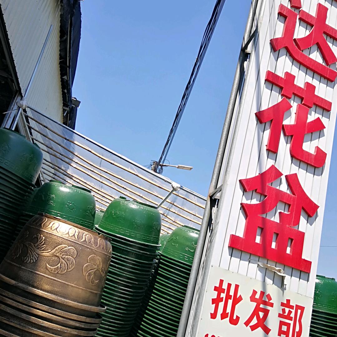 广州胜大园艺有限公司