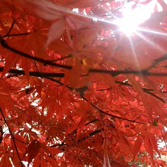 ℳꦿ  ໌້ᮨ释怀꧔ꦿ᭄