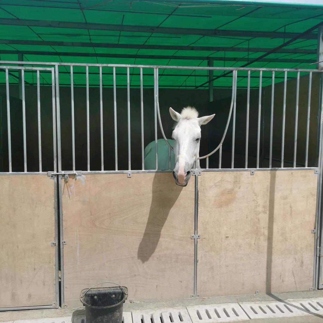 成都监控安装