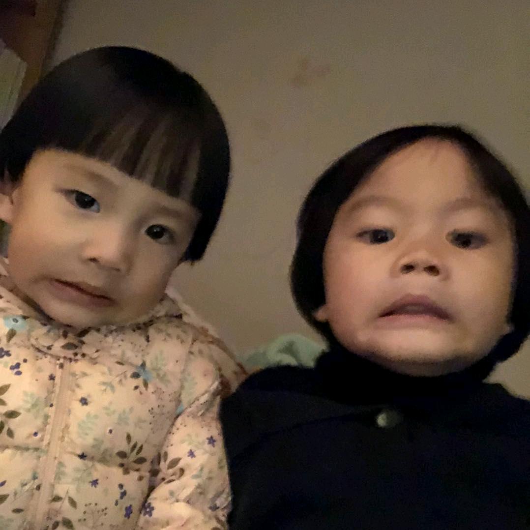 🐶️🐰️🐻️🐼️🐨️🐵️🐮