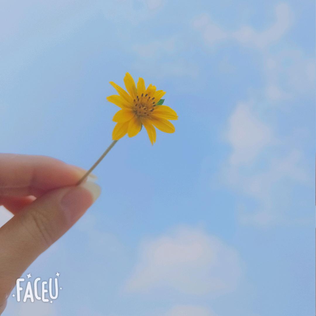 宋我一颗奶糖
