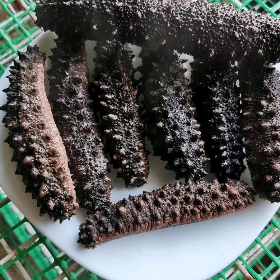 周爱杰   浙K