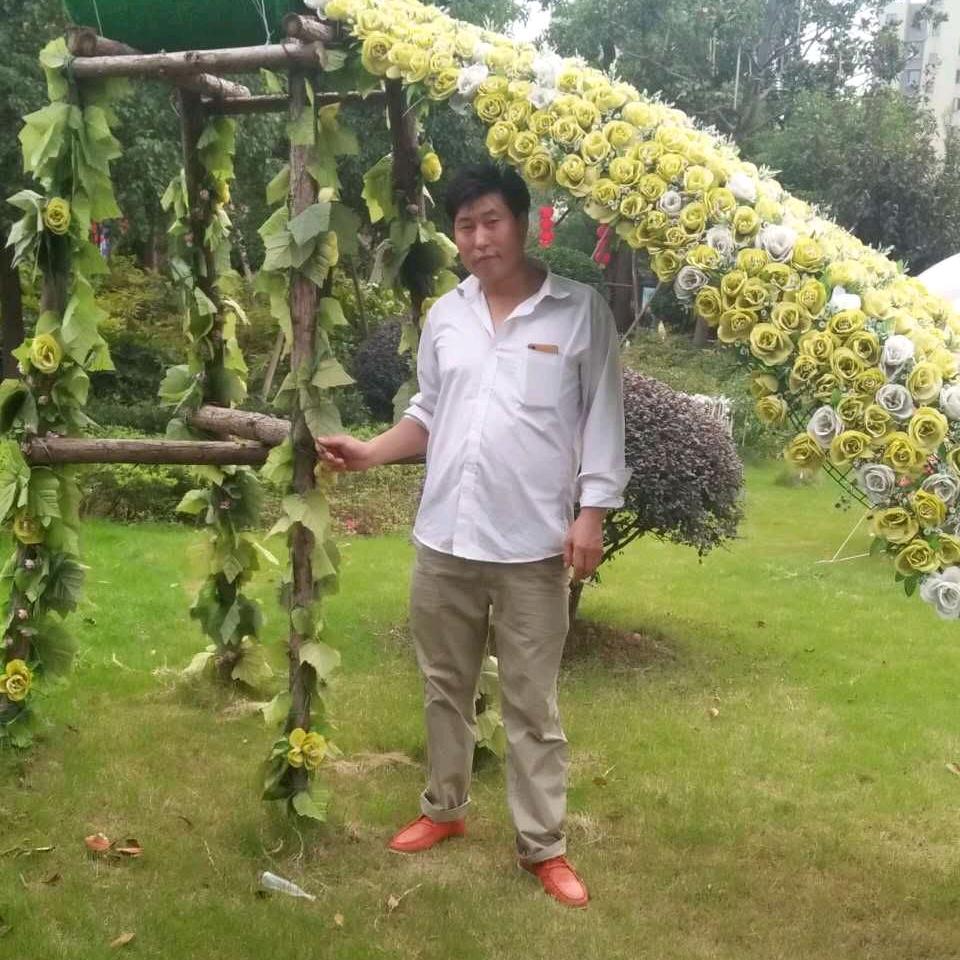 随心而动