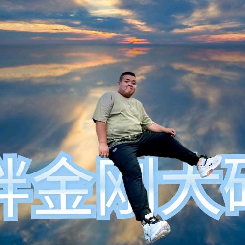 胖金刚大码服装店