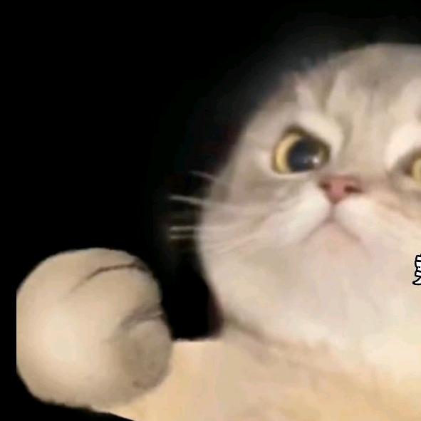 可爱看了