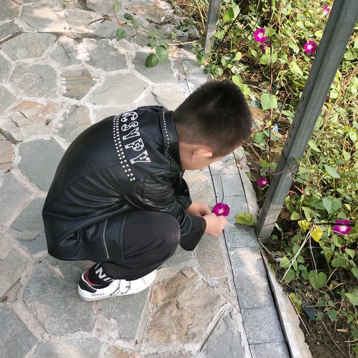 花木兰