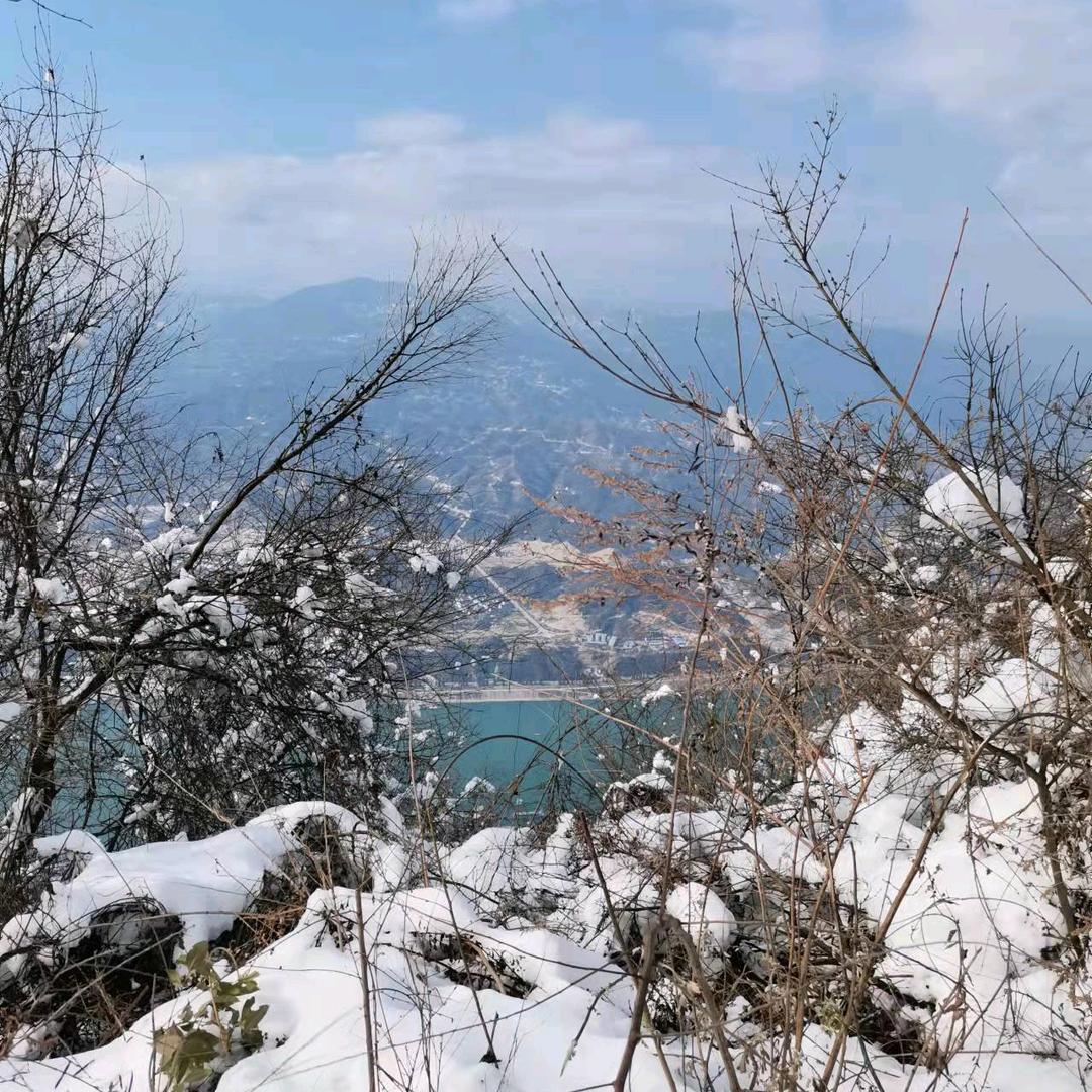 付泽润