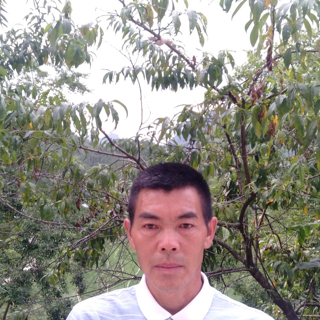 邹昌云书法对联
