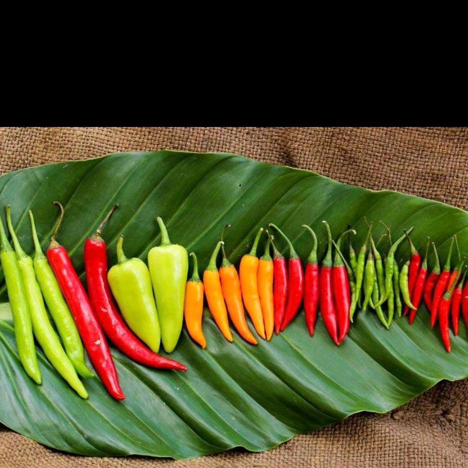 用户5912332495026网红小吃哥