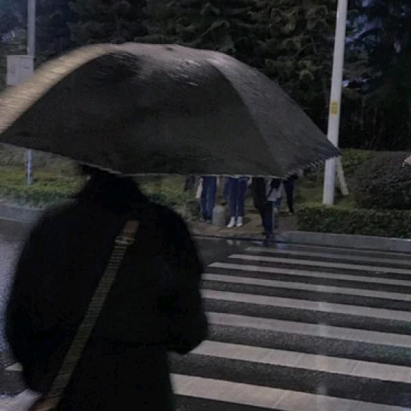 小胡胡胡胡胡胡