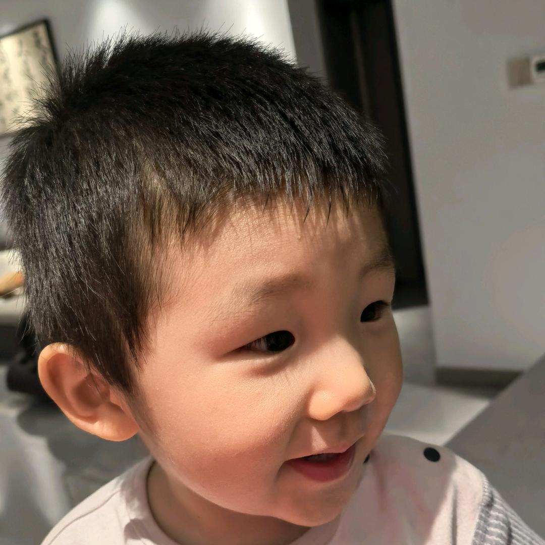 杨杨和琦琦