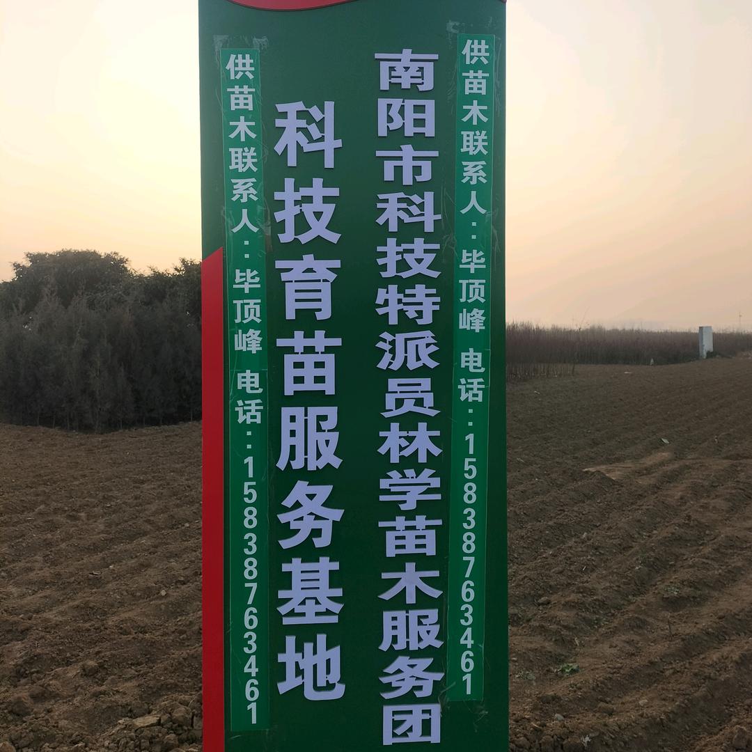 南阳果苗哥