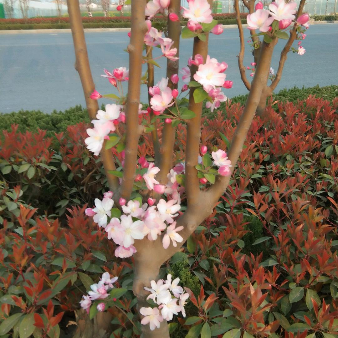 一夜无眠