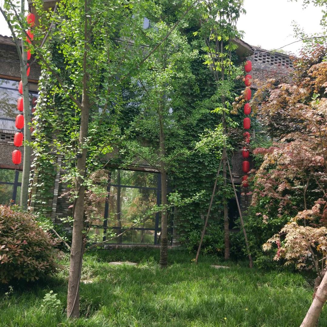 适者生存1806