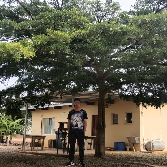半杯气泡水