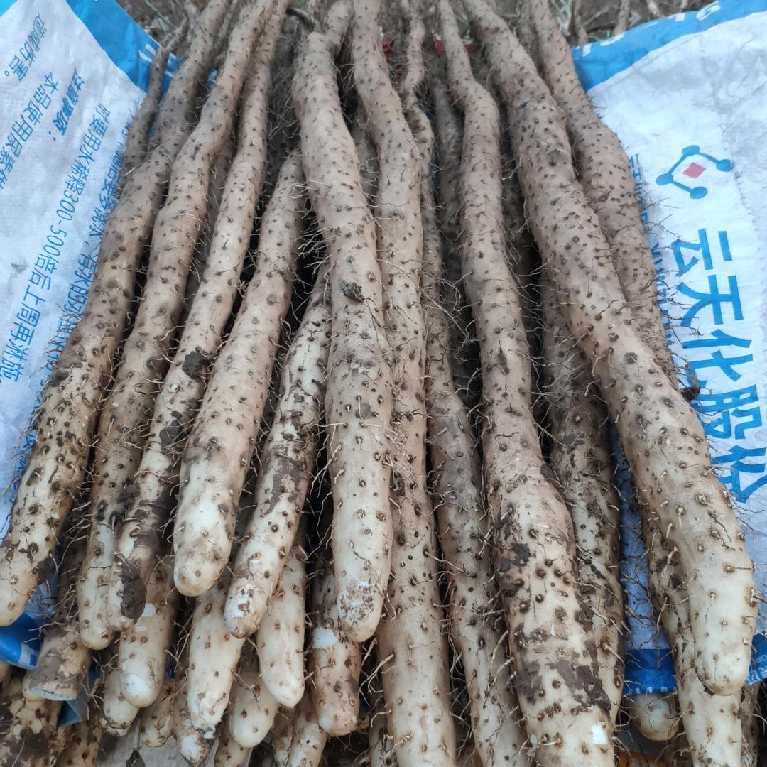 响响家食品坊