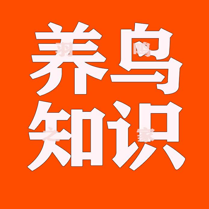 羽鸣之家