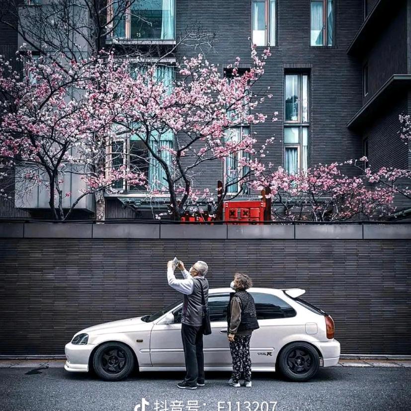 人傻钱多收手机