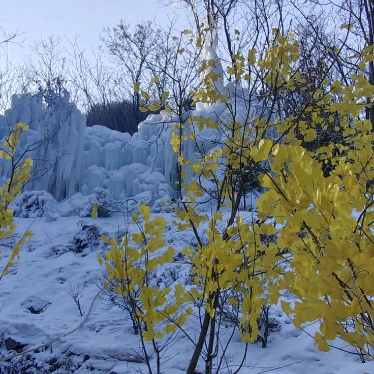 微笑:摄影短视频