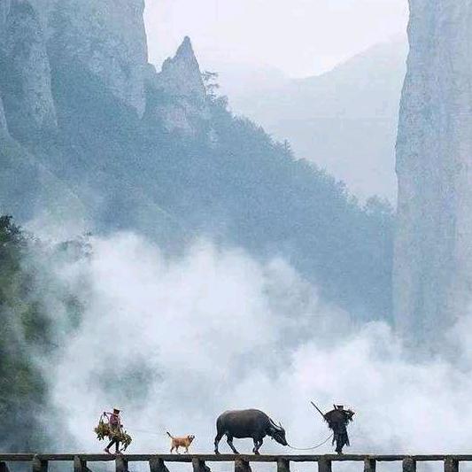 HZH