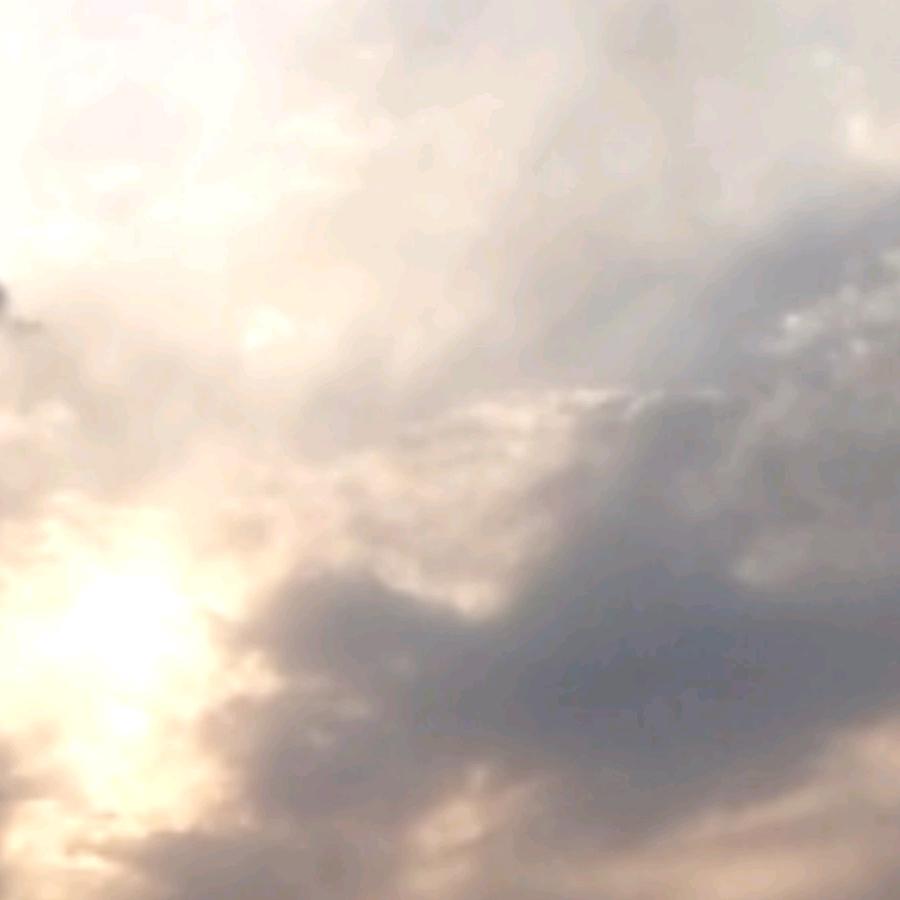 黄精经