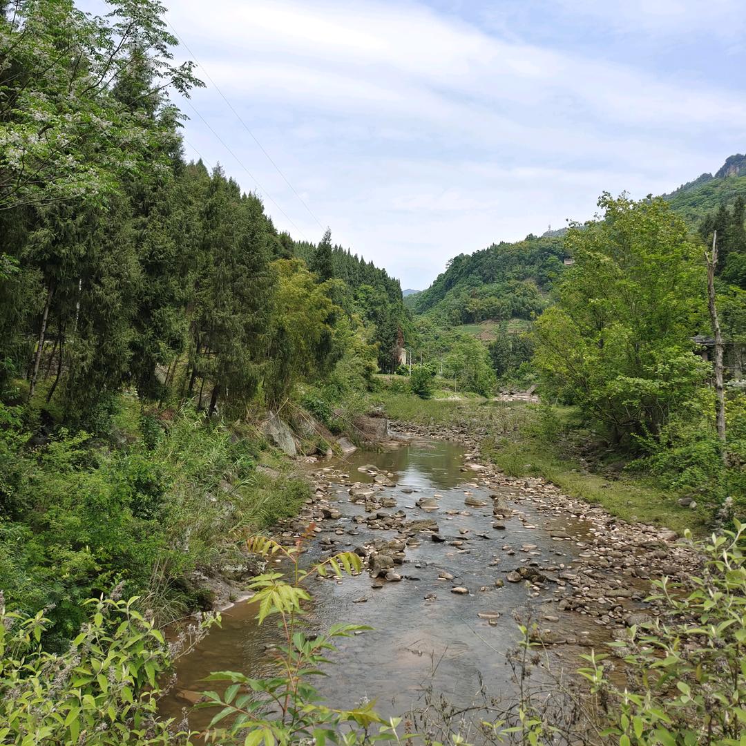 青青草