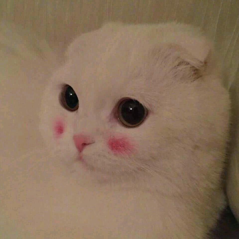 于三书