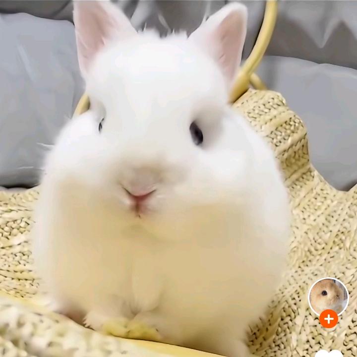 晚秋🌷
