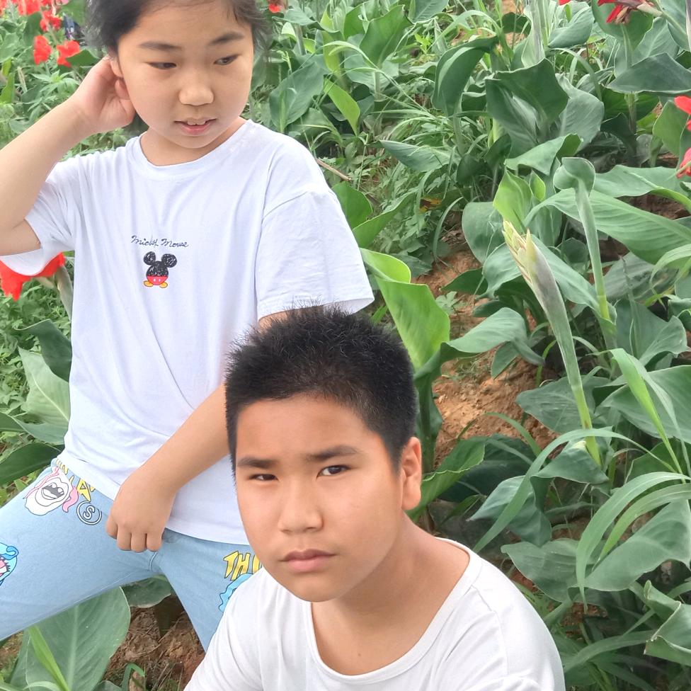都挺好🌻