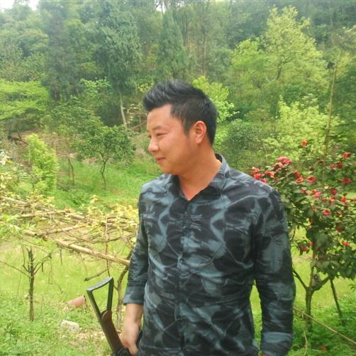 野渡无人