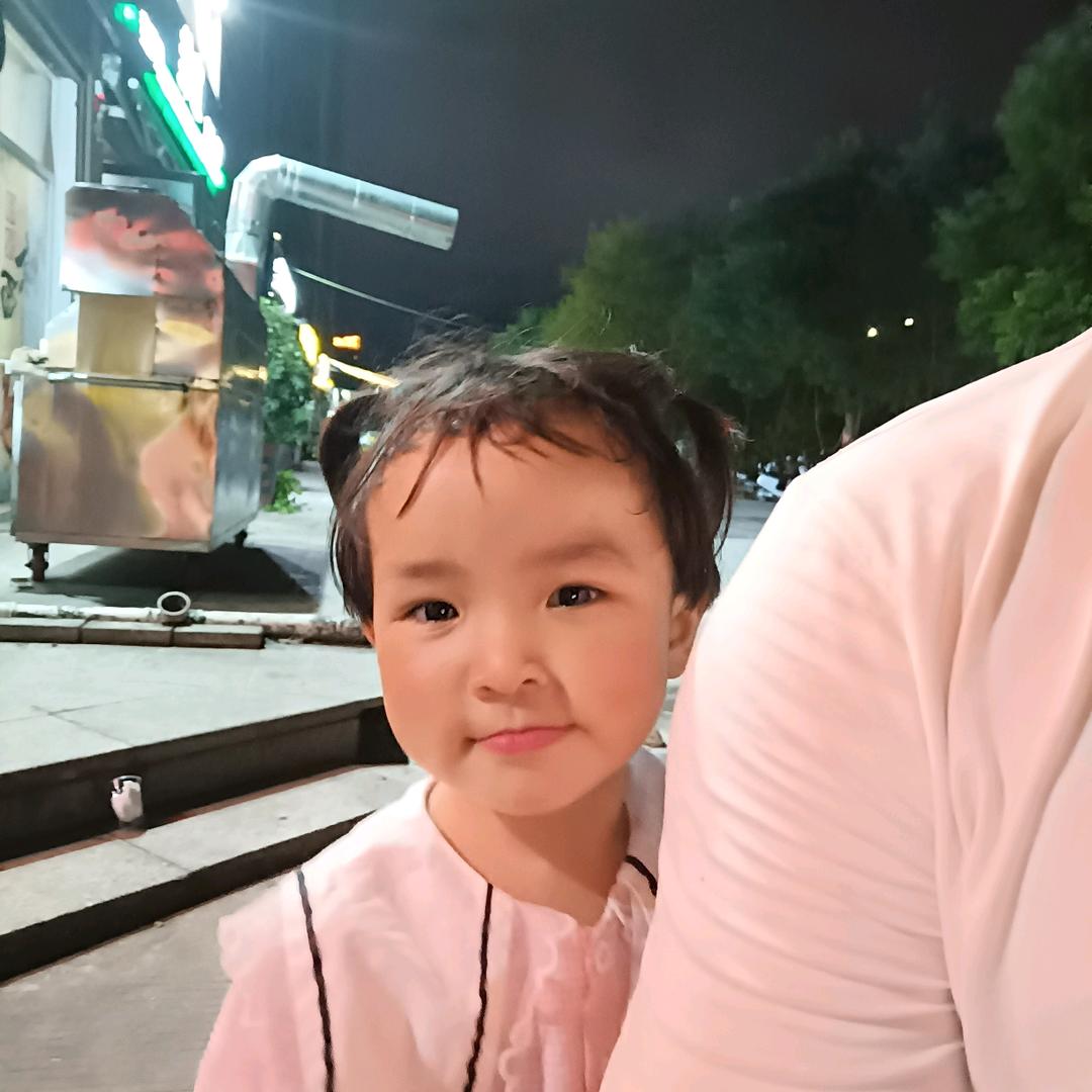 镇平人