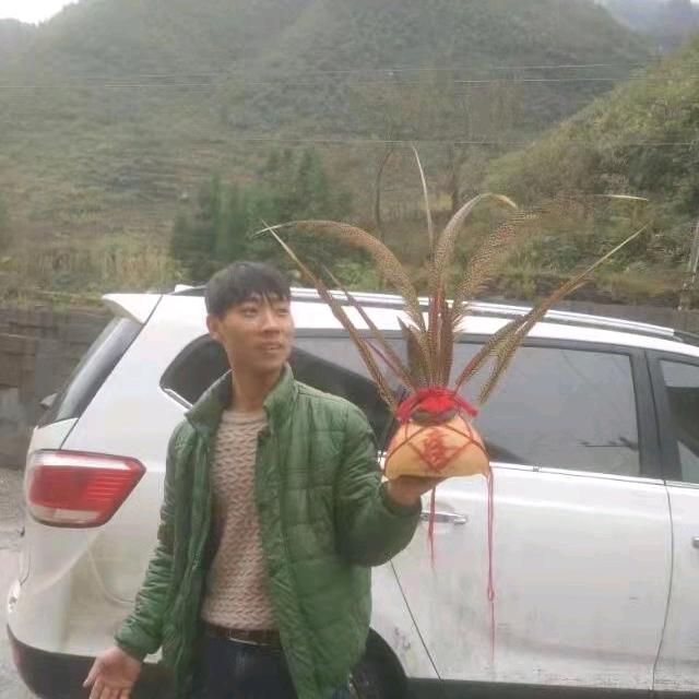 狭路相逢勇者胜