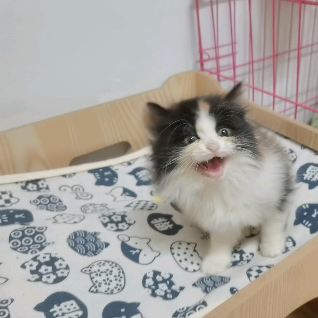 购物公园鸿星尔克