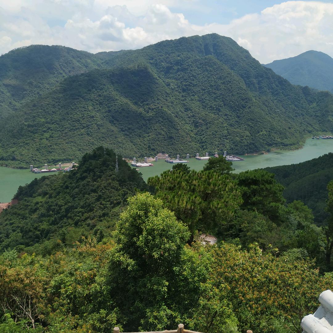 冷酷到底
