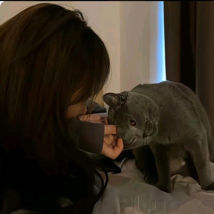 我睡觉的时候不睏