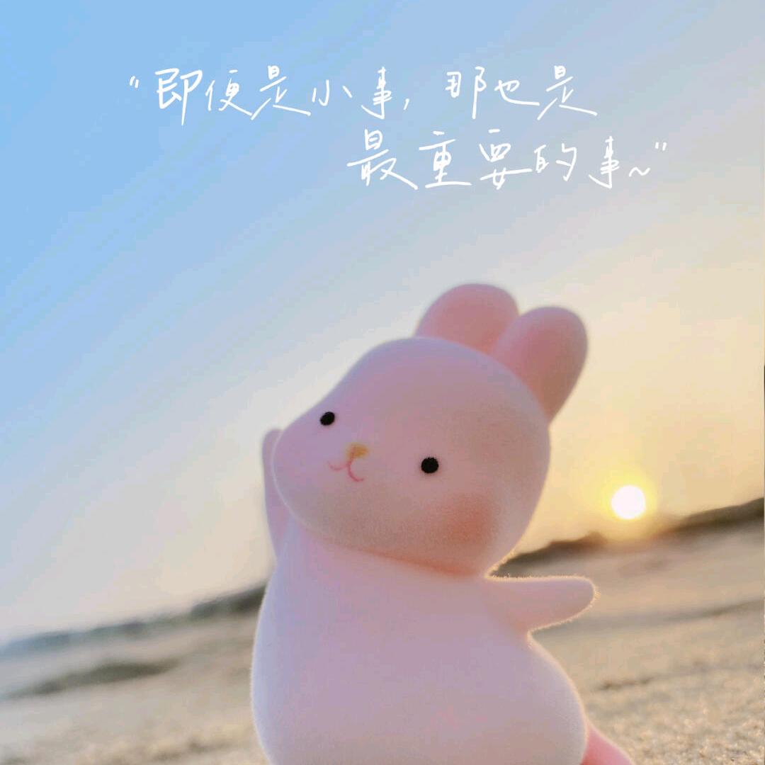 光悦～徐大大