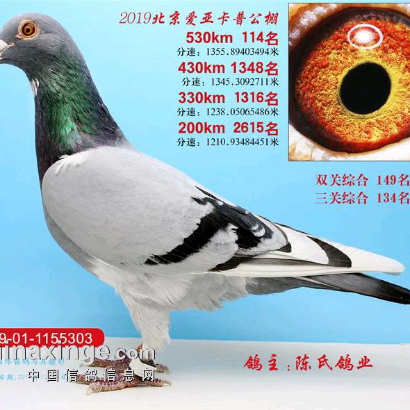 砼鑫胜百货