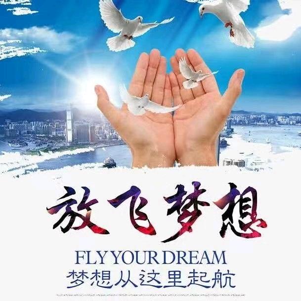 杨洪用户2460848896528