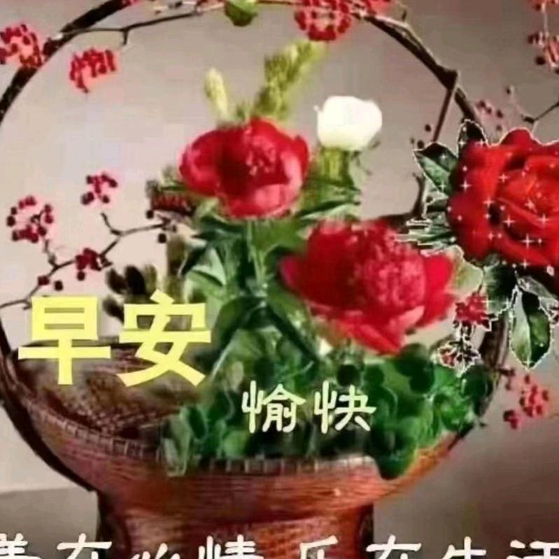 月亮