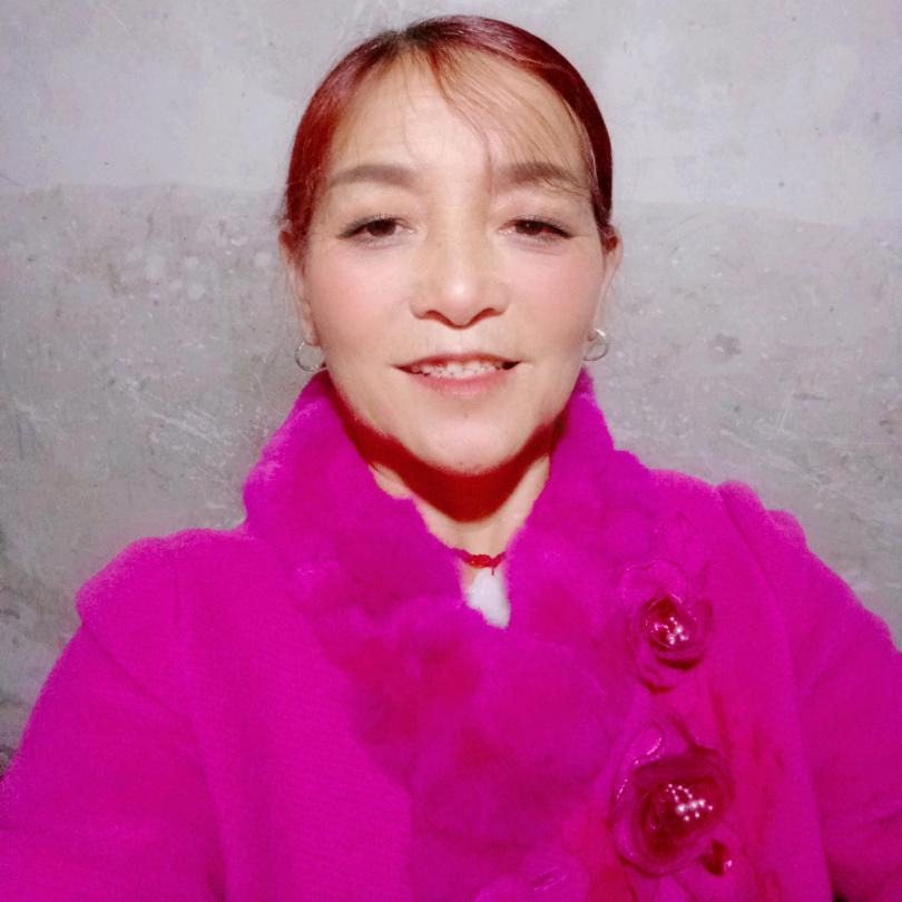杜鹃花