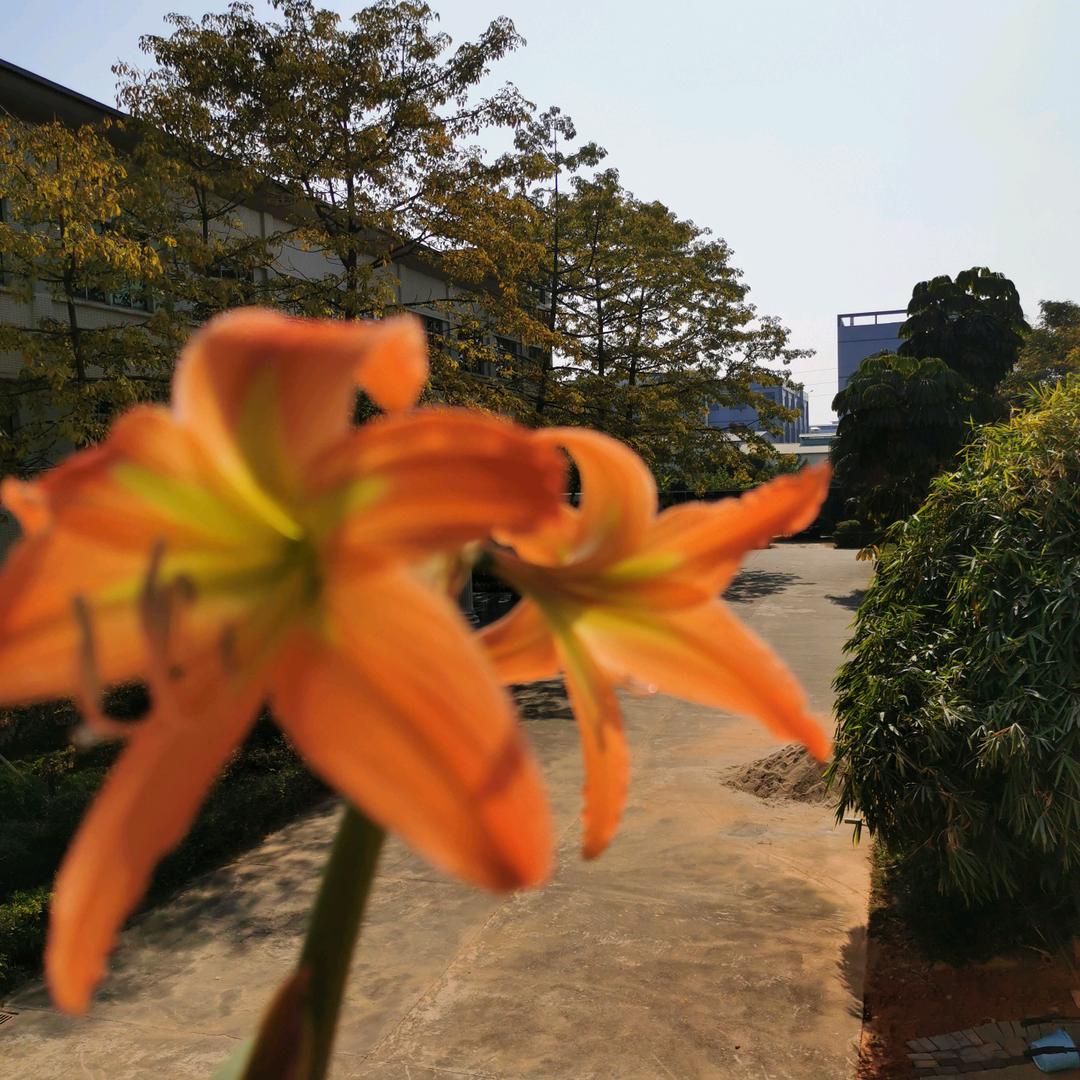 秋的收获