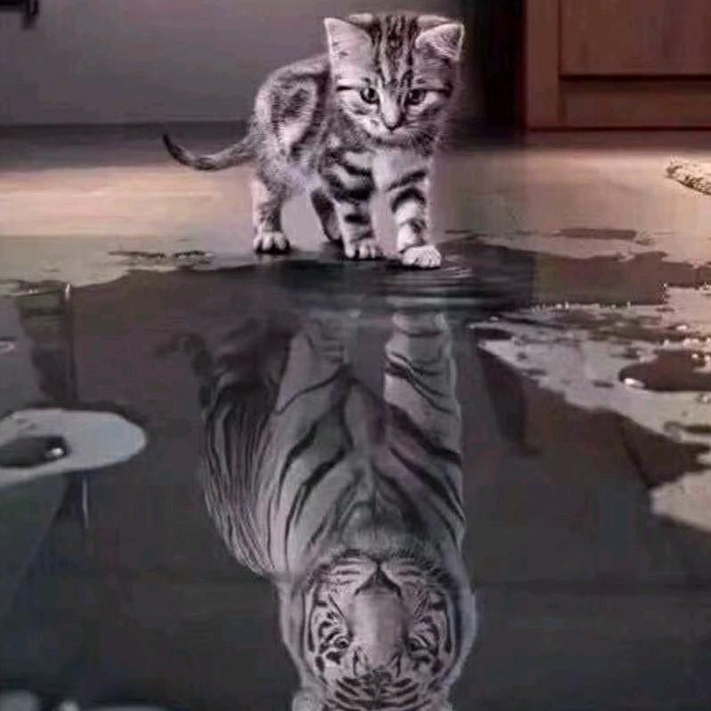 🌈🌈唯有变强别无他法🔥🍊🌈🌈