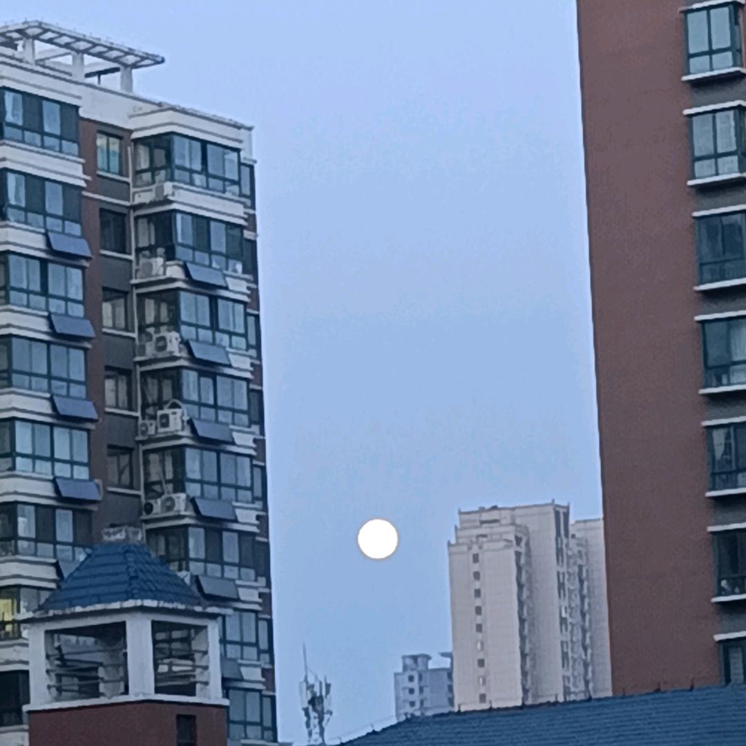 你不是我
