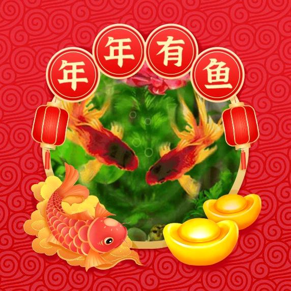 🌹野玫瑰🌹